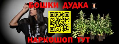 дмт Кингисепп