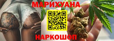 дмт Кингисепп
