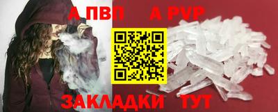 дмт Кингисепп