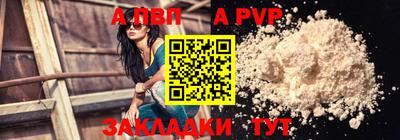 дмт Кингисепп
